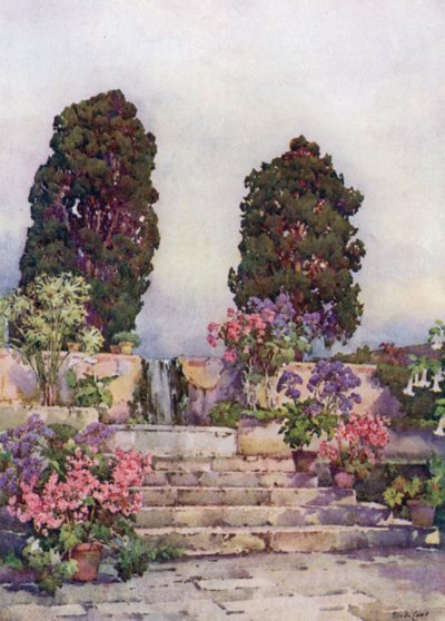 Botanisk hage, Orotava (fargemedlemmer) av Ella Du Cane