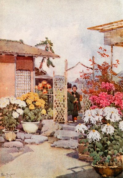 Krysantemum, Kyoto (farge litho) av Ella Du Cane