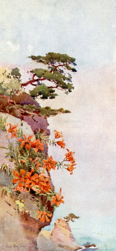 Lilies on the Rocks, Atami (farge litho) av Ella Du Cane