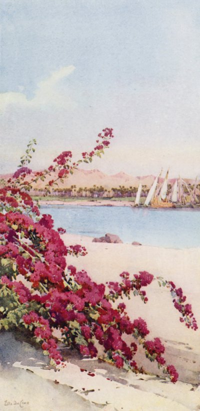 Fjell nord for Assuan fra en hage på Elephantine Island (farge litho) av Ella Du Cane