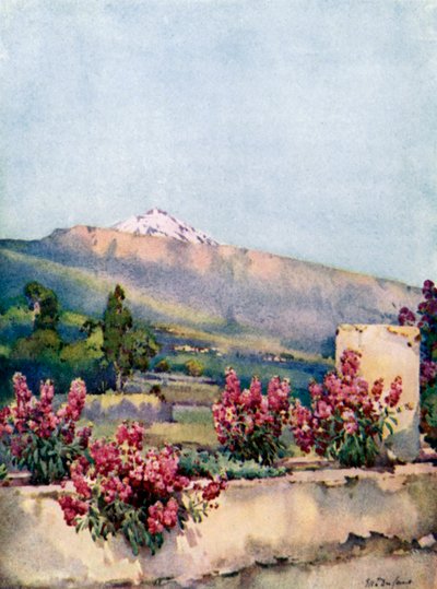 The Peak, fra Villa Orotava (farge litho) av Ella Du Cane