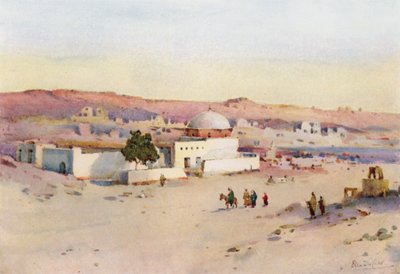 Veien fra Assuan til Shellal (farge litho) av Ella Du Cane