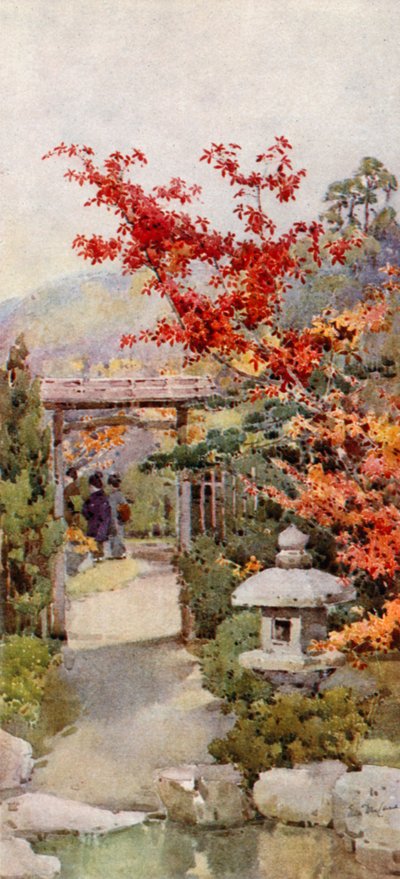 The Scarlet Maple (farge litho) av Ella Du Cane
