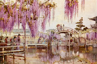 Wistaria, Kameido (farge litho) av Ella Du Cane