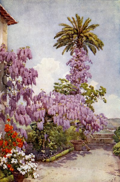Wistaria, Quinta Da Levada (colour litho)   1412801   no       norwegian Successfully Translated  Original: Quilt Translat: Quilt 1223254 no norwegian Successfully Translated Original: Vier Stromen Fontein Innocentivs deci mvs p.m. natali domo pamphili (.. av Ella Du Cane