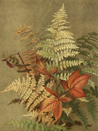  av Ellen Thayer Fisher