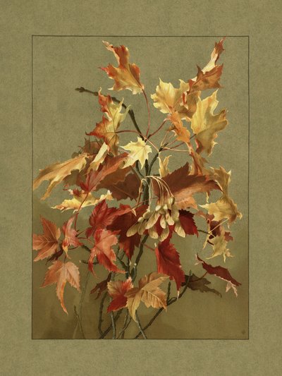  av Ellen Thayer Fisher