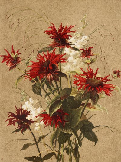  av Ellen Thayer Fisher