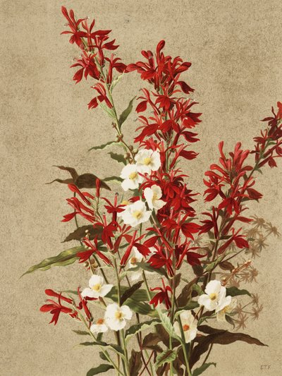  av Ellen Thayer Fisher