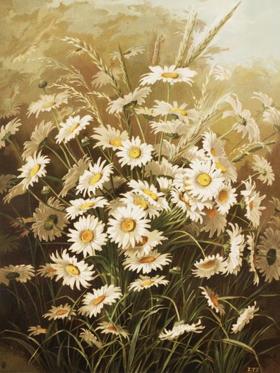  av Ellen Thayer Fisher