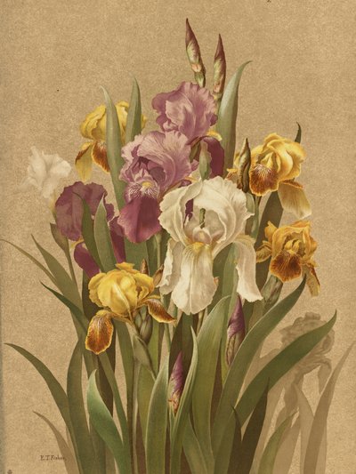  av Ellen Thayer Fisher