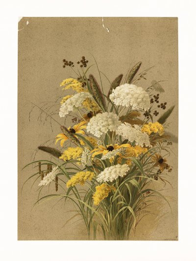  av Ellen Thayer Fisher