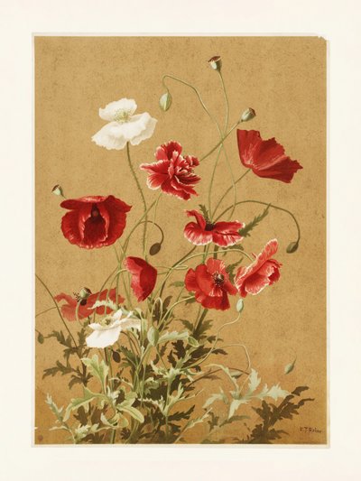  av Ellen Thayer Fisher