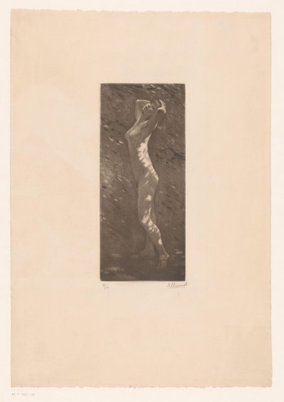 Naken kvinne i sollys av Ellinnot (signed by artist)