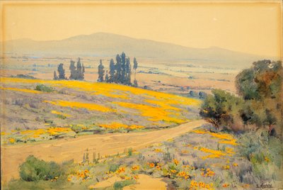  av Elmer Wachtel
