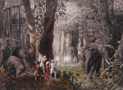 Reis... i Øst-India, Ceylon, Java, Kina og Bengal av Emanuel Andrasy