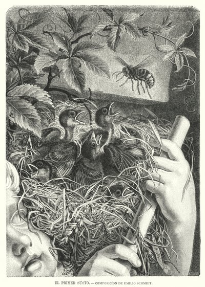 The First Scare (litho) av Emil (after) Schmidt