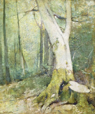 Interiør Woodland av Emil Carlsen