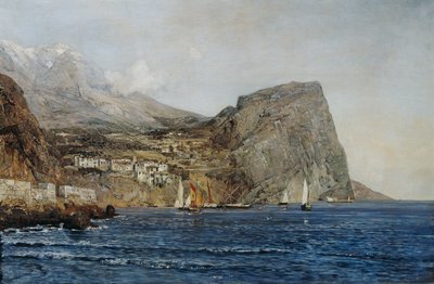 Kystlandskap i Dalmatia av Emil Jakob Schindler