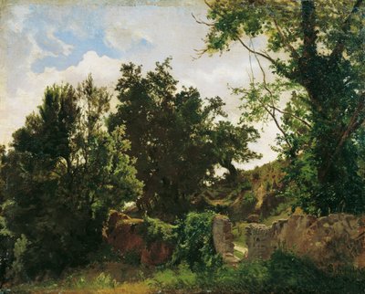 Slottsmur i Plankenberg av Emil Jakob Schindler