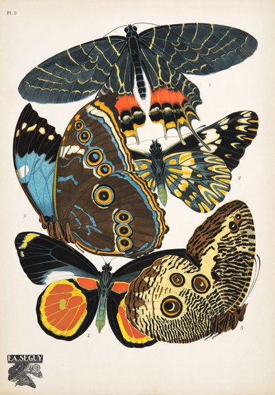 Tallerken 2, fra Butterflies, pub. 1925 (stensiltrykk) av Émile Allain Séguy