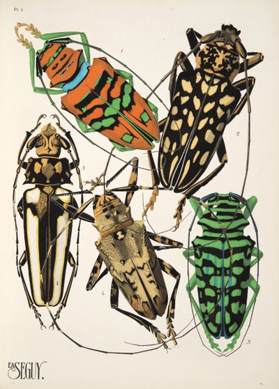 Placa 4 de la Insectes, pub. anii 1930 (tipărire pochoir) norvegiană av Émile Allain Séguy