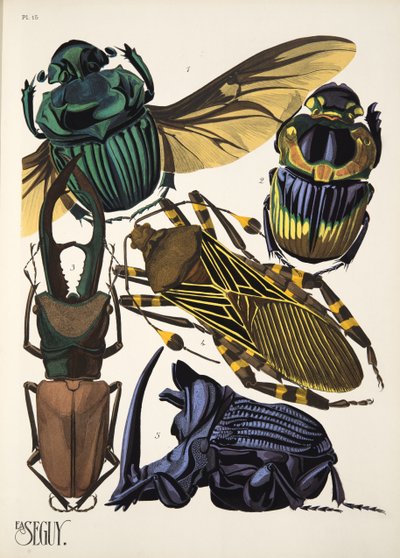 Tallerken 15 fra Insectes, pub. 1930-tallet (pochoir-trykk) av Émile Allain Séguy