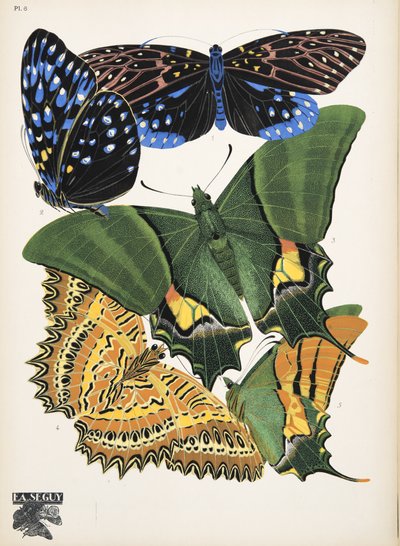 Tallerken 6, fra Butterflies, pub. 1925 (stensiltrykk) av Émile Allain Séguy