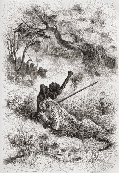 En leopard som angriper en afrikaner, illustrasjon fra 