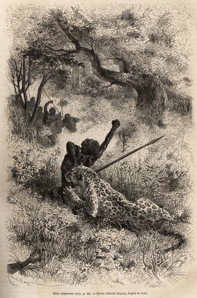En leopard hopper på en mann og biter ham grusomt i ryggen, i nærheten av Bambare (Kongo), graverer etter en tegning av Emile Bayard, som illustrerer David Livingstones siste dagbok (1813-1873), i 1866-1873, publisert i " ”Le tour du monde”” 1875, rediger av Emile Antoine Bayard