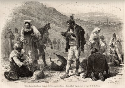 Bøndene i nærheten av Pisino (Kroatia), samles for salg av gårdsprodukter på markedet: fjærkre, smågriser..., gravering etter en tegning av Emile Bayard som illustrerer reisen i Istria og Dalmatia, i 1874, av Charles Yriarte, publisere av Emile Antoine Bayard