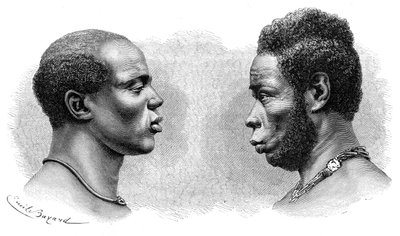 To menn fra Fransk Guinea, ca 1850-1890. av Emile Antoine Bayard