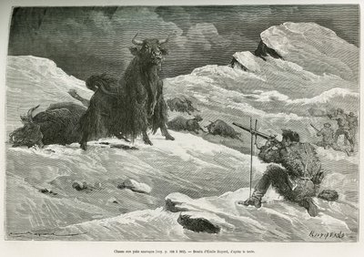 Vill yakjaktscene, tegning av Emile Bayard for å illustrere reisen til Mongolia og Tangoutes land fra 1870 til 1873, av oberstløytnant Przewalski. Gravering i Le tour du monde av Emile Antoine Bayard