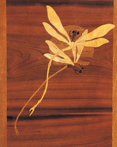Øyenstikker, detalj fra skap i jugendstil, ca 1900, av Emile Galle (1846-1904), utskåret og innlagt valnøtt, Frankrike, 1900-tallet av Emile Galle
