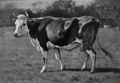 Studie av en ku av Emile van Marcke de Lummen