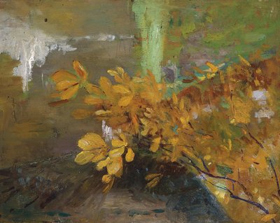 P1476, fra av Emilie Mediz-Pelikan