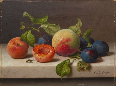 frukt stilleben av Emilie Preyer