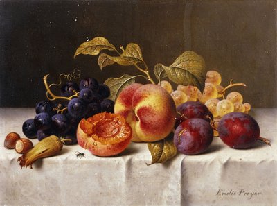 Druer, fersken, plommer og nøtter på et drapert bord av Emilie Preyer
