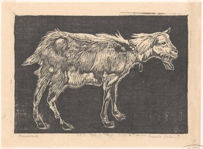 Geit av Emilius Wilhelmus Dehé (signed by artist)