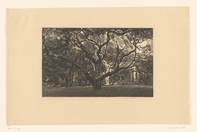 Gammelt tre av Emilius Wilhelmus Dehé (signed by artist)