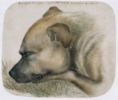 Keeper - from life, 1838 (blyant og wc på papir) av Emily Bronte