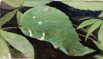  av Emma Beach Thayer