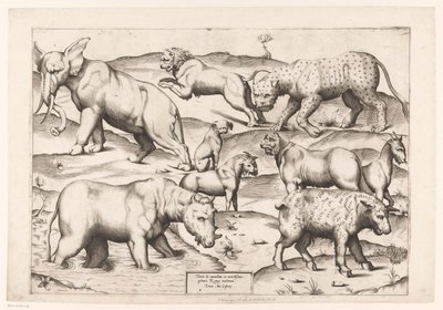 Ni dyr Dyr til antikke veggmalerier (serietittel) Speculum Romanae Magnificentiae (serietittel) av Enea Vico (attributed to)