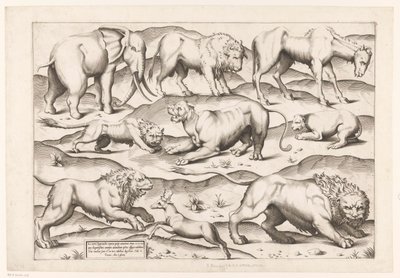 Ni ville dyr Dyr til antikke veggmalerier (serietittel) Speculum Romanae Magnificentiae (serietittel) av Enea Vico (attributed to)