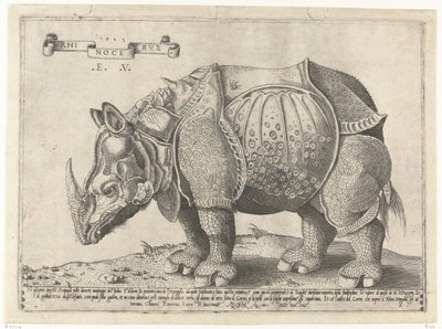 Neushoorn Neshorn (tittel på objekt) av Enea Vico
