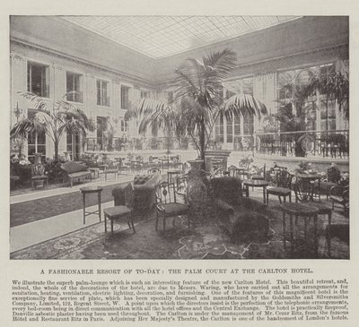 Et moderne feriested, Palm Court på Carlton Hotel av English Photographer