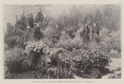 A Haven of Peace, klosterhagen i Bloemfontein, brukt som sykehus av English Photographer