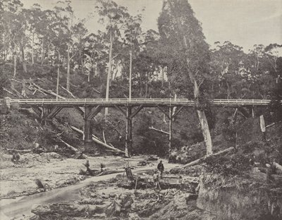 A Miners Claim, nær Daylesford, Victoria av English Photographer