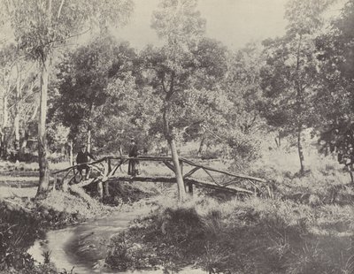 En rustikk bro, Ballarat vannreservat av English Photographer