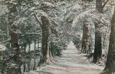 Addisons Walk, Magdalen College, Oxford. Postkort sendt i 1913. av English Photographer